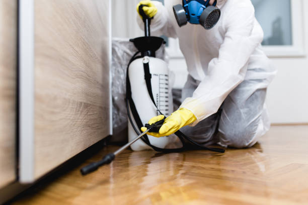 Best Pest Control Near Me  in Merrifield, VA