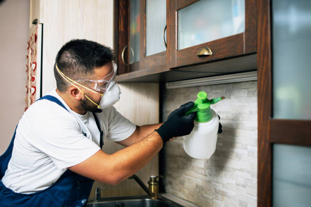 Best Wildlife Control Services  in Merrifield, VA