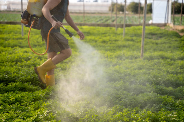Best Mosquito Control Services  in Merrifield, VA