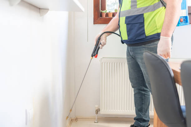 Best Ant Control Services  in Merrifield, VA