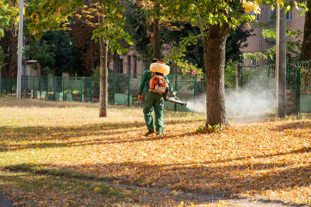 Best Rat Extermination Near Me  in Merrifield, VA