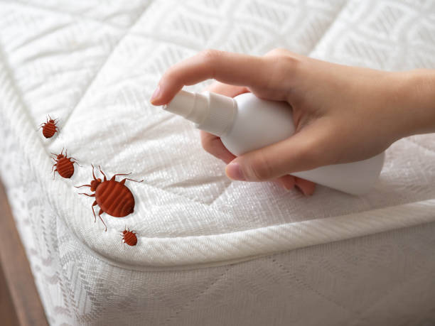 Best Exterminator Services  in Merrifield, VA