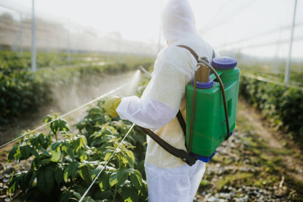 Best Emergency Pest Control  in Merrifield, VA